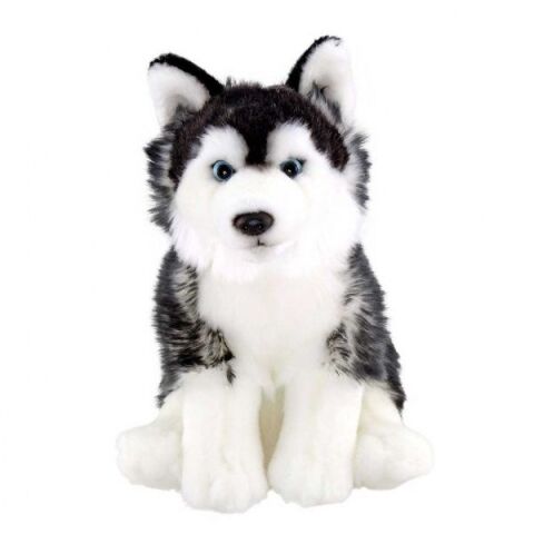 Neco Anm-20907 28 Cm Floppy Siyah Husky