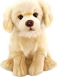 Neco Anm-20913 28 Cm Floppy Golden Retriever
