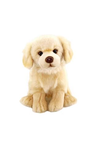 Neco Anm-20913 28 Cm Floppy Golden Retriever