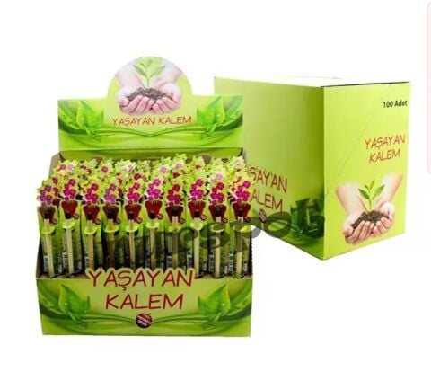 Aden Adn-3987 Yaşayan Kalem
