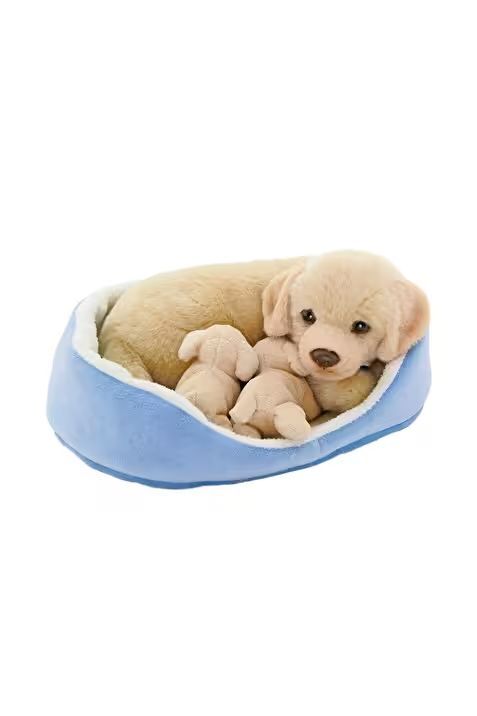 Neco Anm-20896 Sepette Yavrulu Labrador