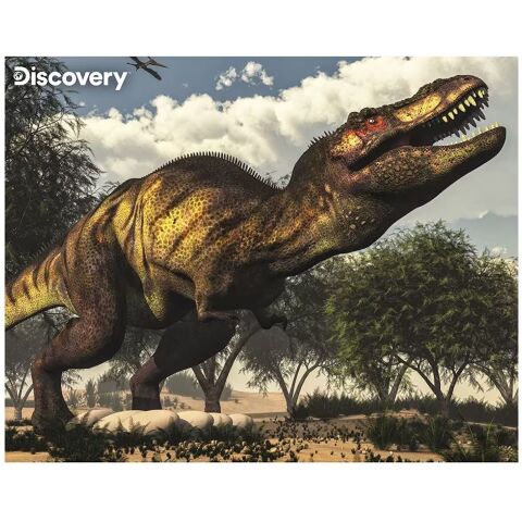 Neco Prm-20925 Prime 3D-Discovery Tyrannosaurus Rex-63 Parça Puzzle